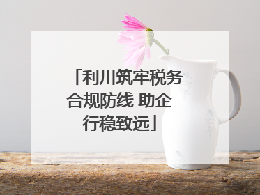利川筑牢税务合规防线 助企行稳致远