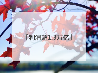 利润超1.3万亿