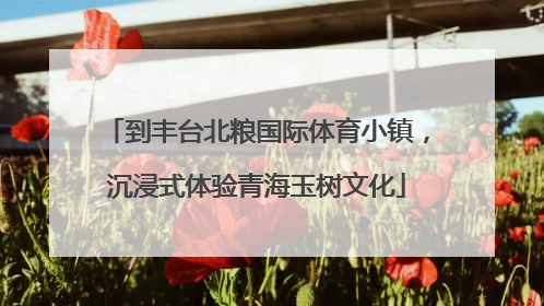 到丰台北粮国际体育小镇，沉浸式体验青海玉树文化