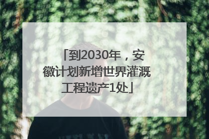 到2030年，安徽计划新增世界灌溉工程遗产1处
