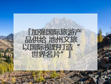 加强国际旅游产品供给 池州文旅以国际视野打造“世界名片”