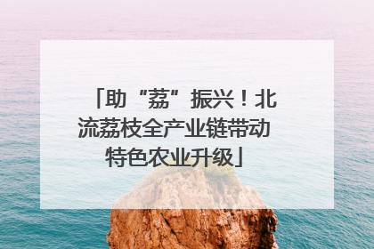 助“荔”振兴！北流荔枝全产业链带动特色农业升级