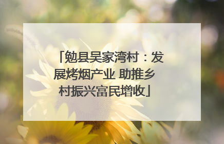 勉县吴家湾村：发展烤烟产业 助推乡村振兴富民增收