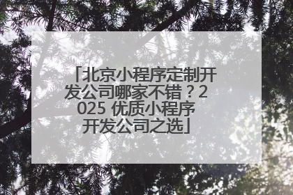 北京小程序定制开发公司哪家不错？2025 优质小程序开发公司之选