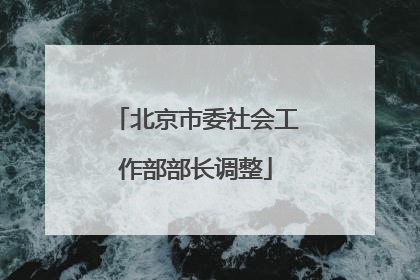 北京市委社会工作部部长调整