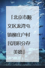 北京市顺义区龙湾屯镇柳庄户村民用积分存美德