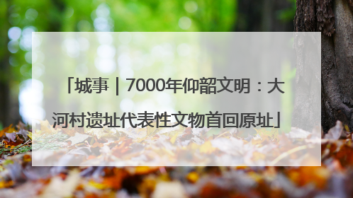 城事｜7000年仰韶文明：大河村遗址代表性文物首回原址