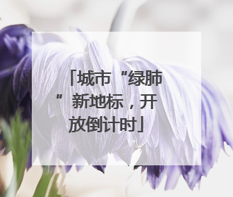 城市“绿肺”新地标，开放倒计时