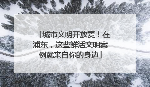 城市文明开放麦！在浦东，这些鲜活文明案例就来自你的身边