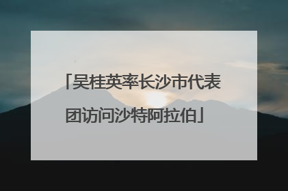 吴桂英率长沙市代表团访问沙特阿拉伯