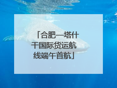 合肥—塔什干国际货运航线端午首航