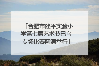 合肥市建平实验小学第七届艺术节巴乌专场比赛圆满举行