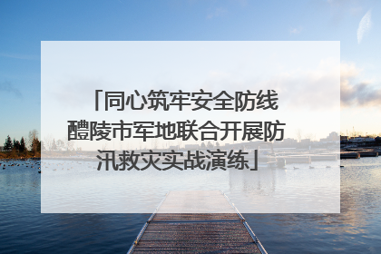 同心筑牢安全防线 醴陵市军地联合开展防汛救灾实战演练