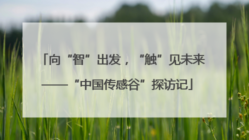 向“智”出发，“触”见未来——“中国传感谷”探访记
