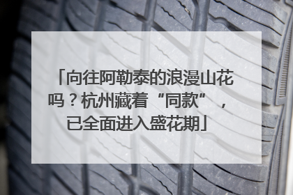 向往阿勒泰的浪漫山花吗？杭州藏着“同款”，已全面进入盛花期