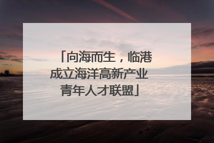 向海而生，临港成立海洋高新产业青年人才联盟