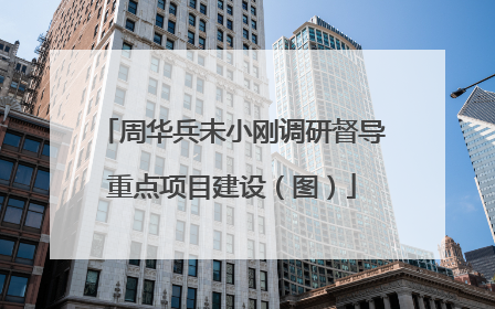 周华兵未小刚调研督导重点项目建设（图）