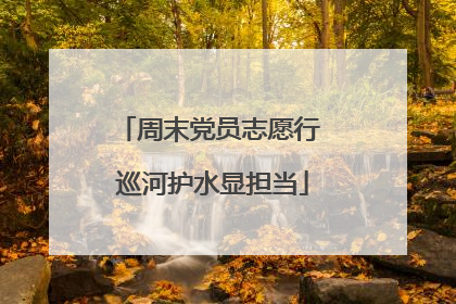 周末党员志愿行 巡河护水显担当