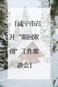 咸宁市召开“双回双创”工作推进会