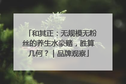 和其正：无规模无粉丝的养生水豪赌，胜算几何？｜品牌观察