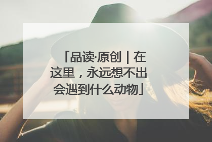 品读·原创｜在这里，永远想不出会遇到什么动物
