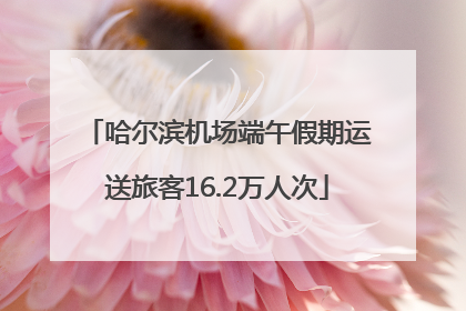哈尔滨机场端午假期运送旅客16.2万人次
