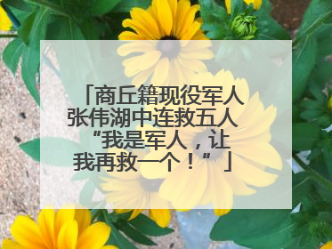 商丘籍现役军人张伟湖中连救五人 “我是军人，让我再救一个！”