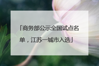 商务部公示全国试点名单，江苏一城市入选