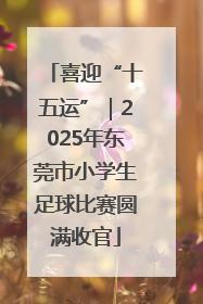 喜迎“十五运”｜2025年东莞市小学生足球比赛圆满收官