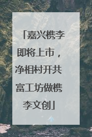 嘉兴槜李即将上市，净相村开共富工坊做槜李文创