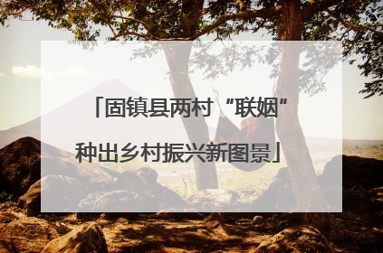 固镇县两村“联姻”种出乡村振兴新图景