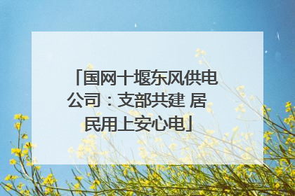 国网十堰东风供电公司：支部共建 居民用上安心电