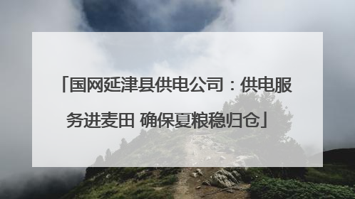 国网延津县供电公司：供电服务进麦田 确保夏粮稳归仓