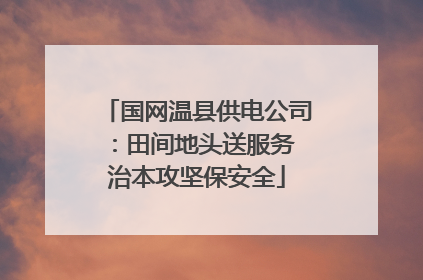 国网温县供电公司：田间地头送服务 治本攻坚保安全