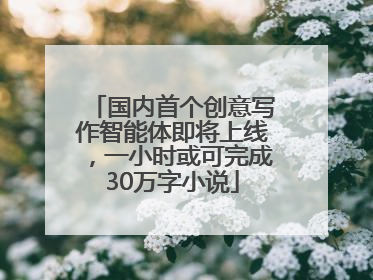 国内首个创意写作智能体即将上线，一小时或可完成30万字小说