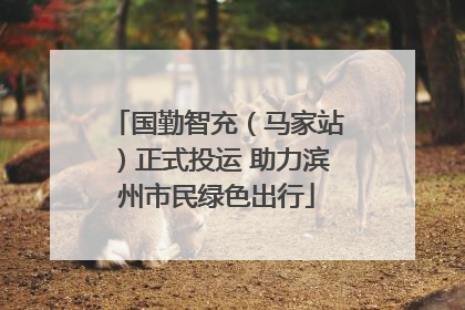 国勤智充（马家站）正式投运 助力滨州市民绿色出行