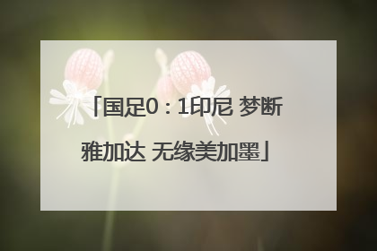 国足0∶1印尼 梦断雅加达 无缘美加墨
