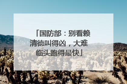 国防部：别看赖清德叫得凶，大难临头跑得最快