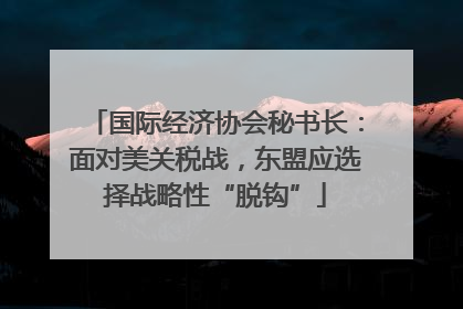 国际经济协会秘书长：面对美关税战，东盟应选择战略性“脱钩”