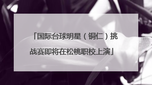 国际台球明星（铜仁）挑战赛即将在松桃职校上演