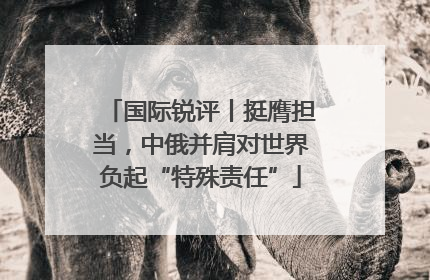 国际锐评丨挺膺担当，中俄并肩对世界负起“特殊责任”