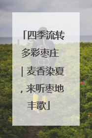 四季流转 多彩枣庄｜麦香染夏，来听枣地丰歌