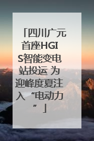 四川广元首座HGIS智能变电站投运 为迎峰度夏注入“电动力”