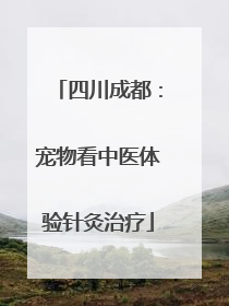 四川成都：宠物看中医体验针灸治疗