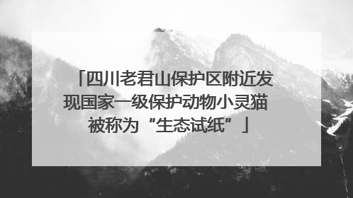 四川老君山保护区附近发现国家一级保护动物小灵猫 被称为“生态试纸”