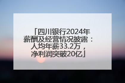 四川银行2024年薪酬及经营情况披露：人均年薪33.2万，净利润突破20亿