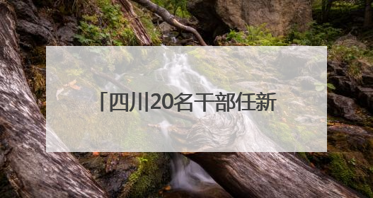 四川20名干部任新职，涉副厅级职务