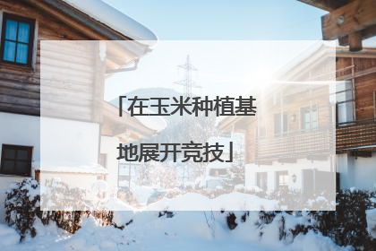 在玉米种植基地展开竞技