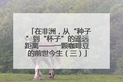 在非洲，从“种子”到“杯子”的遥远距离——一颗咖啡豆的前世今生（三）