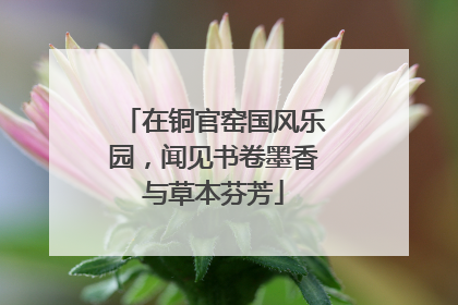 在铜官窑国风乐园，闻见书卷墨香与草本芬芳